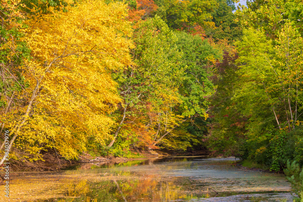 Autumn at the Windsor Locks Canal state park