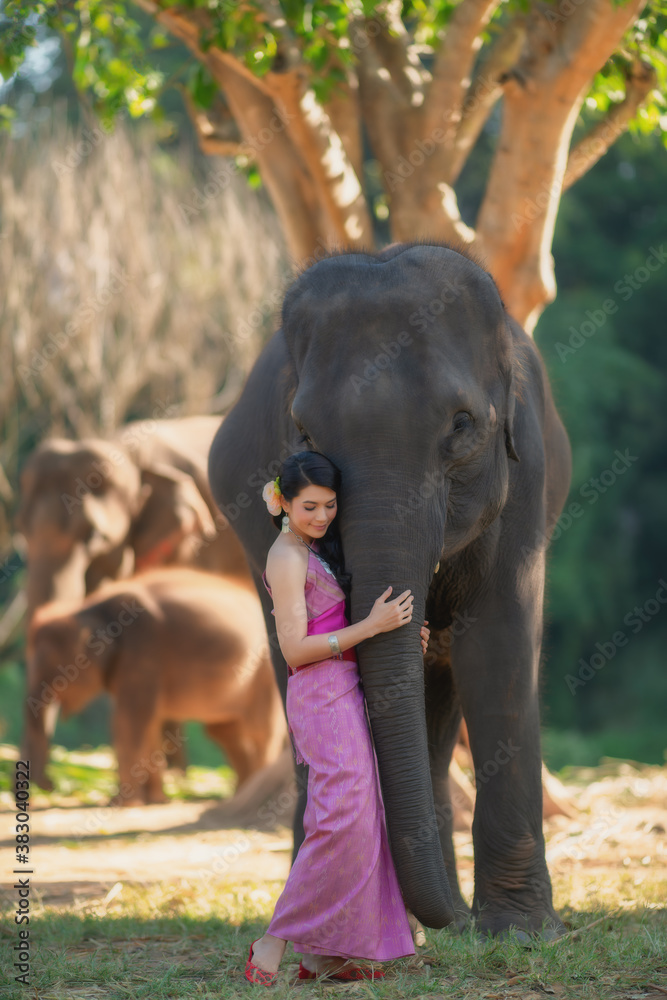 Fototapeta premium Women wearing Thai dress hugging elephants.
