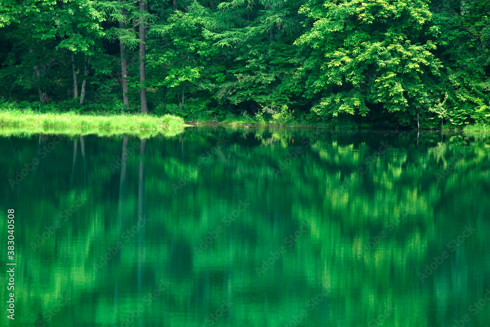 森と湖