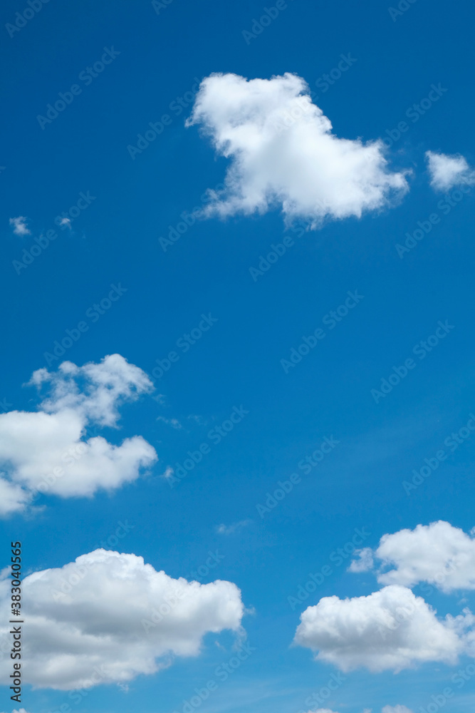 Obraz premium 夏空