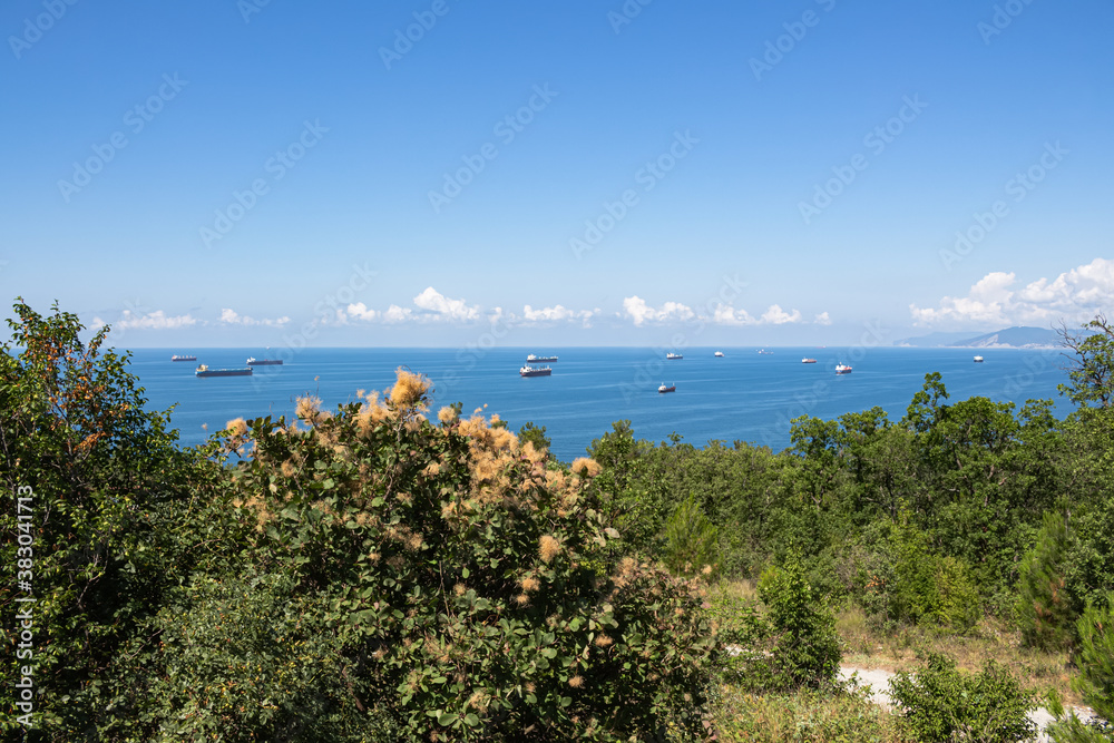 Beautiful summer landscape. Road to the wild beach, through the green forest and camping. Sea view and cargo ships. Surroundings of the resort city of Gelendzhik. Russia, Black sea coast