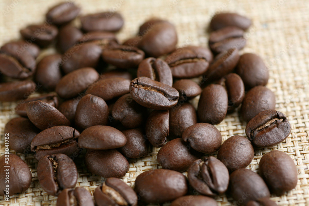コーヒー豆 コーヒー豆