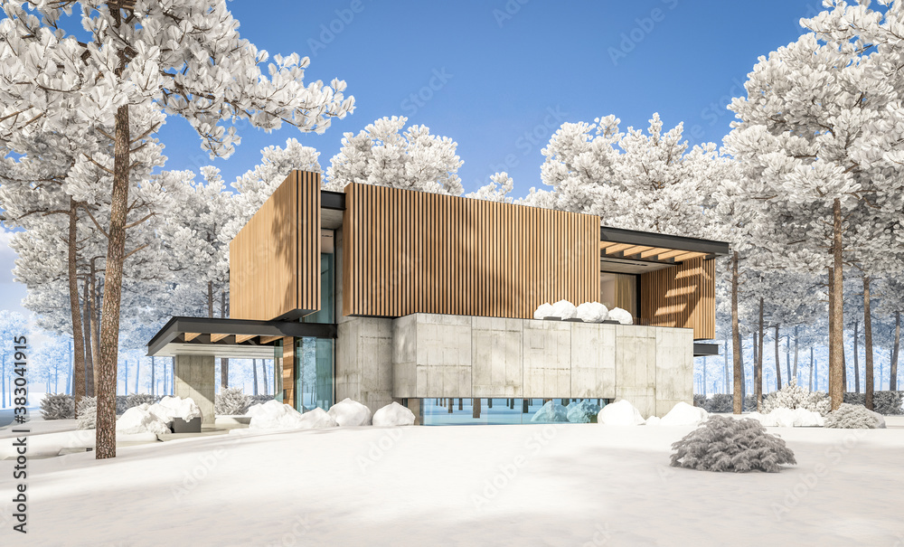 3d rendering of modern cozy house with parking and pool for sale or rent with wood plank facade and beautiful landscaping on background. Cool winter day with shiny white snow. 3d rendering of modern cozy house with parking and pool for sale or rent with wood plank facade and beautiful landscaping on background. Cool winter day with shiny white snow.