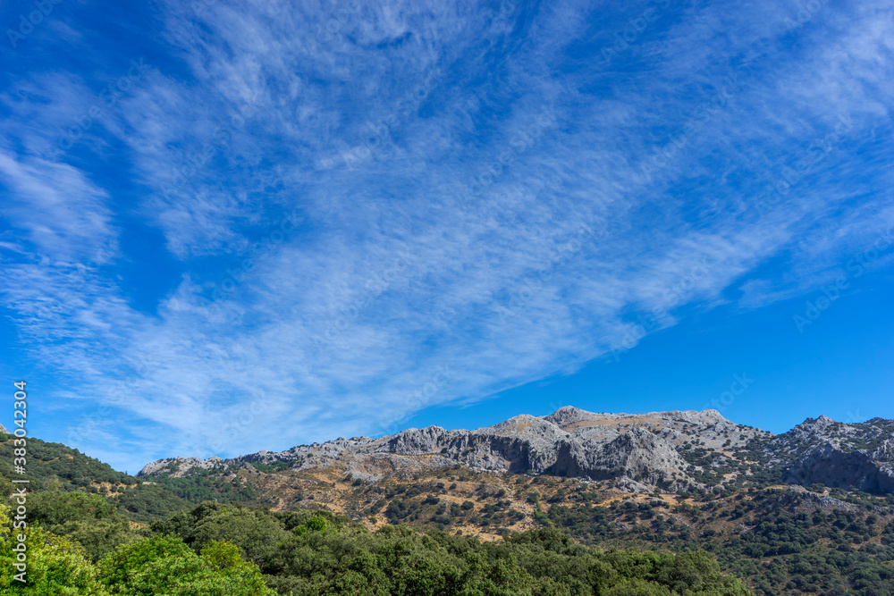 vistas de la sierra del Endrinal en el parque natural de Grazalema, Andalucía