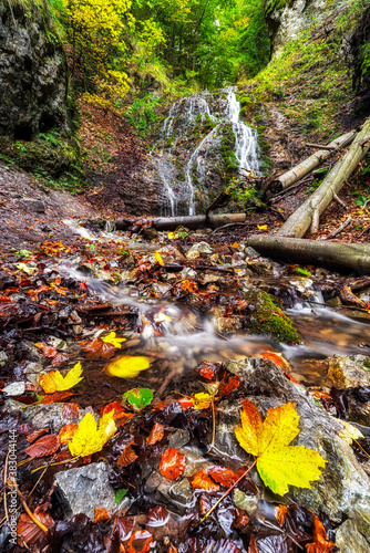 Waterfall and colorful autumn leaves in forest photo