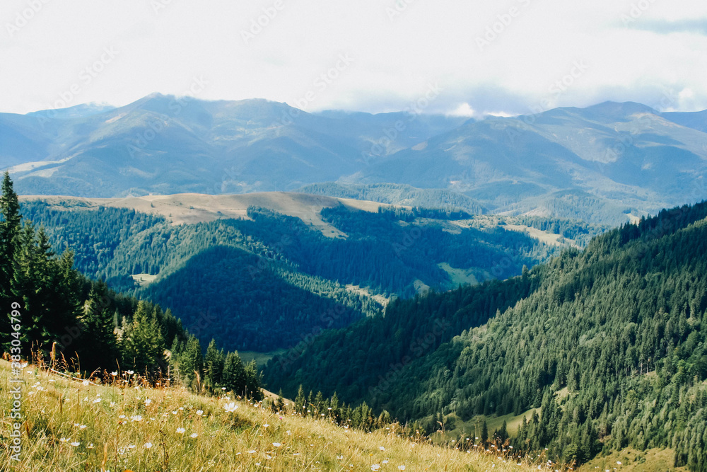 Fototapeta premium view of the mountains