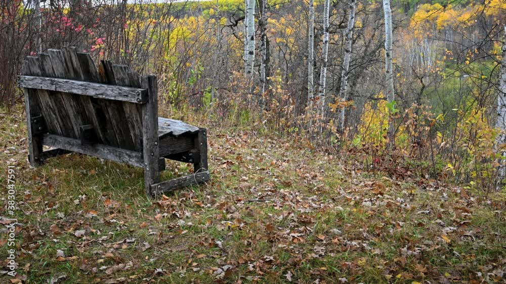 Old weathered wooden bench overlooking an autumn forest with colorful trees. The trees and leaves are moving in a strong wind. The entire bench can be seen.
Old weathered wooden bench overlooking an autumn forest with colorful trees. The trees and leaves are moving in a strong wind. The entire bench can be seen.