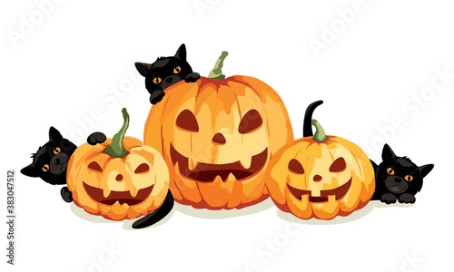 Black cats and pumpkins jack o'lantern. Funny vector illustration, Halloween card.	