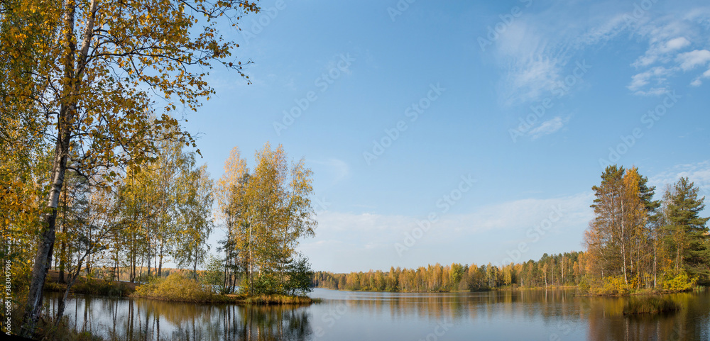 Panoramic landscape of a forest lake with a bright grove of trees with golden autumn foliage on the distant shore on a bright autumn day.