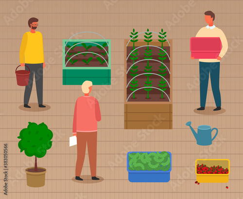 Group of people caring about sprouts in boxes. Growers growing vegetables in wooden boxes. Containers with cucumbers, strawberries or harvest. Tree in pot with soil. Men growing organic food