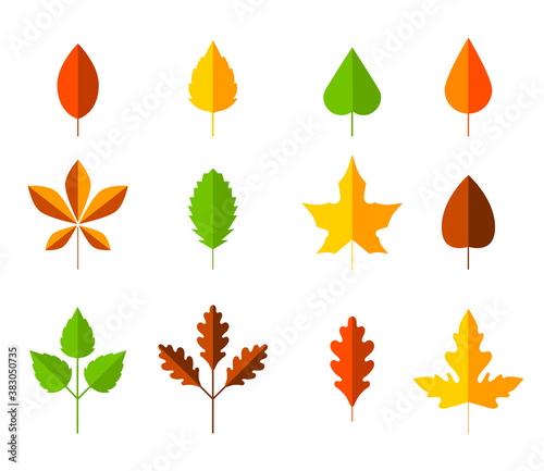 Colorful autumn leaves set. Cartoon leaf in flat style. Autumn herbarium. Collection of hand drawn fallen leaves. Set of cartoon elements of autumn.