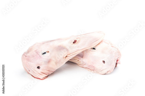 Fresh duck head on top of white background