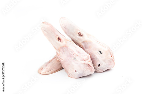 Fresh duck head on top of white background