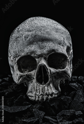 skull on black charcoal  closeup