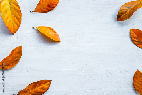 seasonal fall collection on white