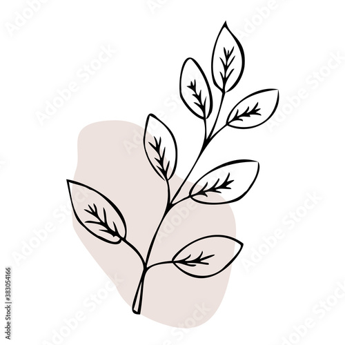 Ornamental leaves with color shape. Hand drawn vector illustrations on white background.