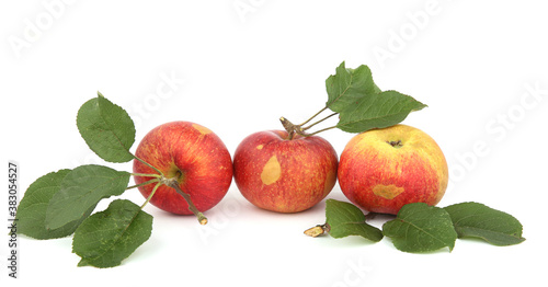 Apple fruits with leaves isolated on white background. Pile of red organic rustic ripe apples.