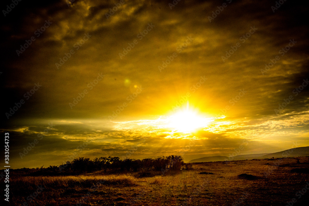 Obraz premium sunset over the field