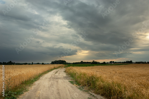 Dirt road and grain field, cloudy sky