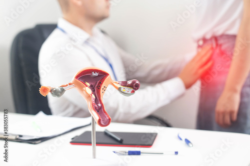 Gynecologist doctor conducts a medical examination of a girl who has pain in the lower abdomen. Female reproductive system diseases and treatment concept, bladder inflammation, background