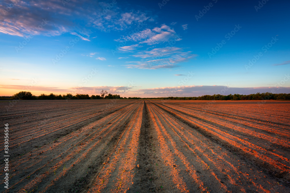 Beautiful landscape of a plowed field at sunset. Poland