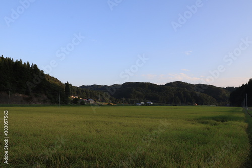 金色の稲穂が広がる白神山地の田んぼ風景 © nomad-photography