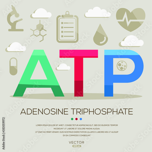 ATP mean (adenosine triphosphate) medical acronyms ,letters and icons ,Vector illustration.		