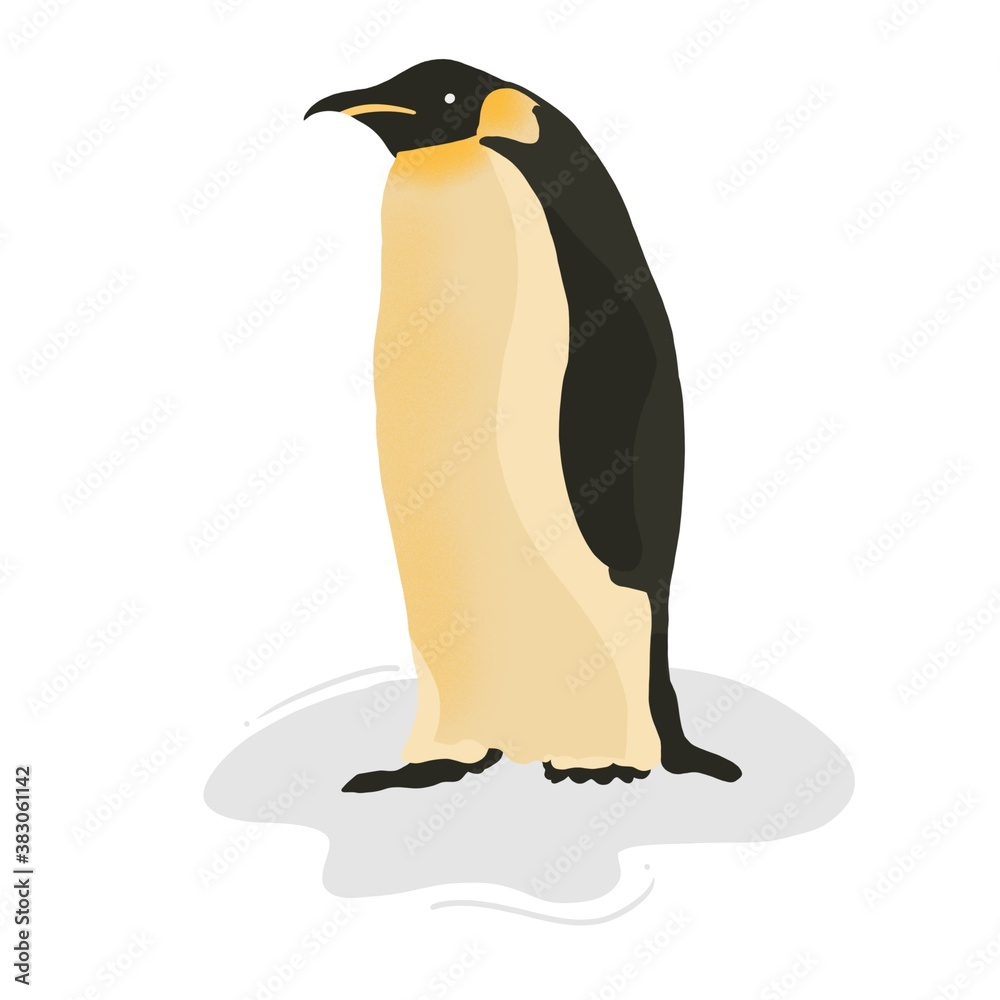 Fototapeta premium penguin on a white background