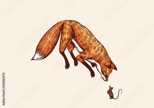 Fox in a jump pose. The animal hunts for a mouse. Forest ginger beast. Vector Engraved hand drawn Vintage sketch for label or poster.