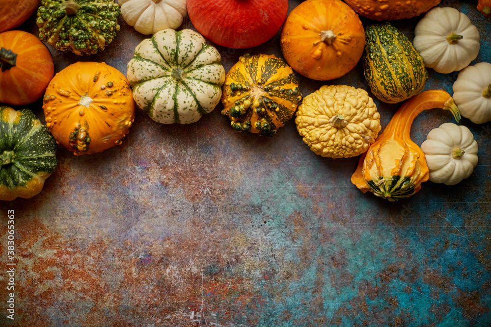 Different kinds colorful mini pumpkins placed on rusty background - obrazy, fototapety, plakaty 