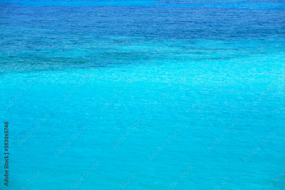 Obraz premium コーラルビーチ