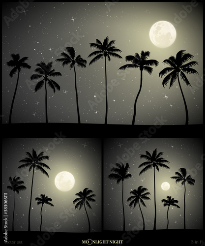 Landscape with palm trees on beach on moonlight night. Dark mysterious background with full moon in starry sky. Black and white vector illustration set for use in polygraphy, design, decor