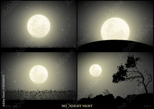 Moonlight landscapes. Full moon in night starry sky. Black white set