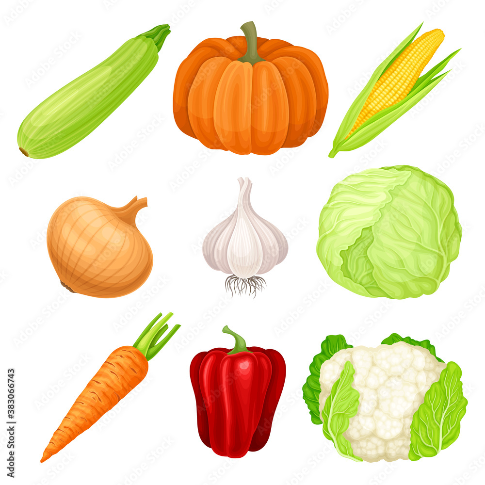 Ripe Vegetables as Healthy Raw Food Vector Set Ripe Vegetables as Healthy Raw Food Vector Set