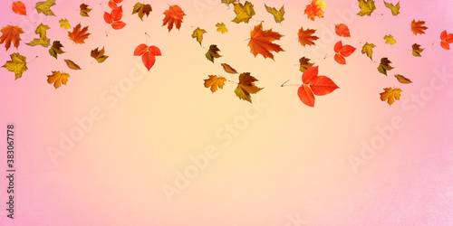 Wallpaper Mural Falling autumn leaves natural colour background Torontodigital.ca