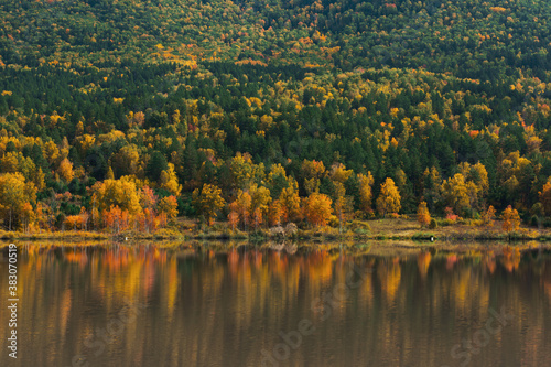 Autumn reflections of the M...