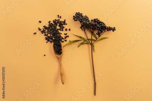 Dried elderberry. Immunity boosting for flu season. Elder, black elder