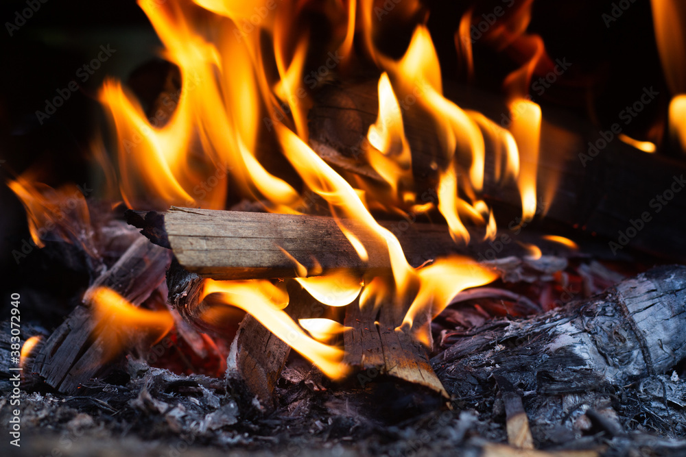 the coals of a campfire in the forest closeup the coals of a campfire in the forest closeup