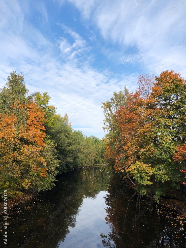 Beautiful landscape of autumn trees in the forest Beautiful landscape of autumn trees in the forest