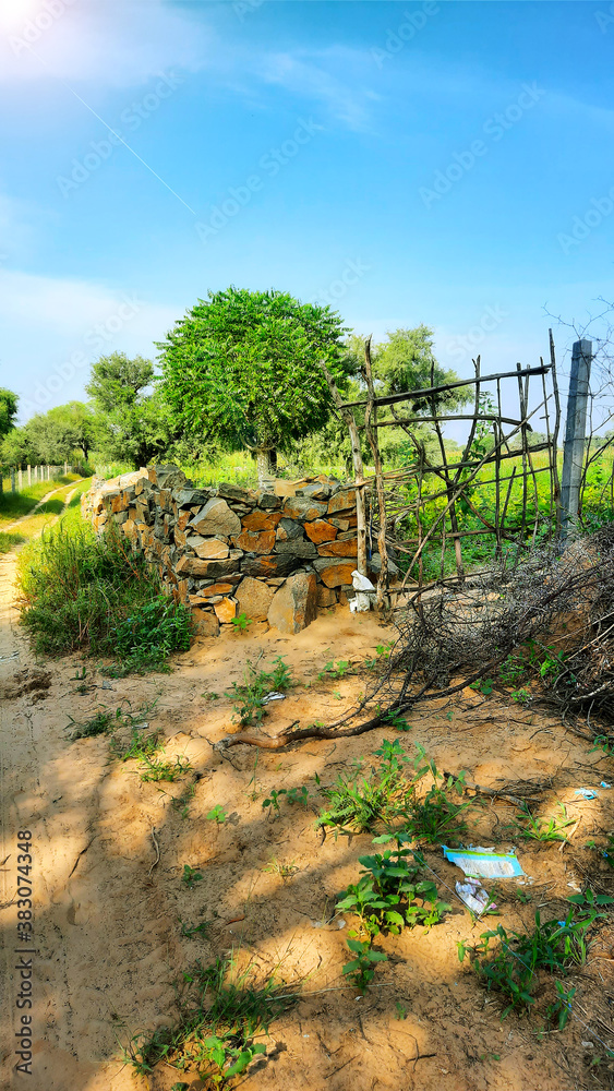Old wooden makeshift entrance gate and stone wall of a farm in India