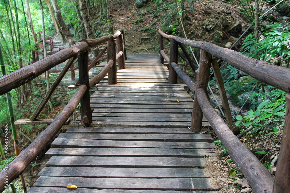 wooden bridge in the forest