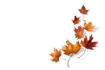 Autumn composition. Dried leaves on whitebackground. Top view. Flat lay.