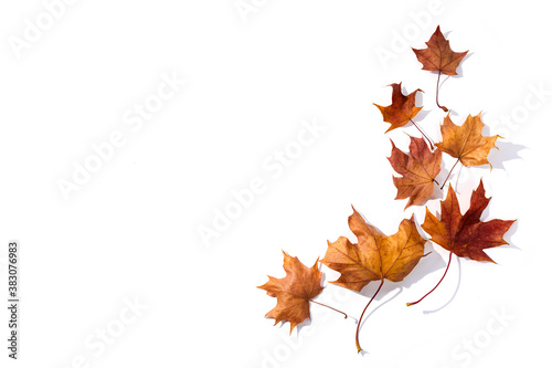 Autumn composition. Dried leaves on whitebackground. Top view. Flat lay.