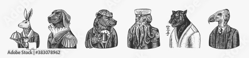 Grizzly Bear with a beer mug. Octopus sailor and Hare or Rabbit waiter. Dog officer and bird. Black panther and Bee biker. Japanese text means: karate. Fashion animal character. Hand drawn sketch.