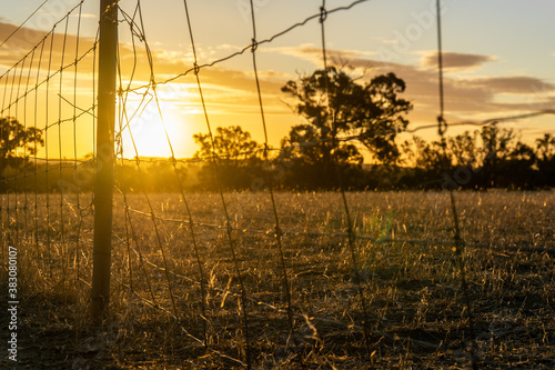 sunset over the field