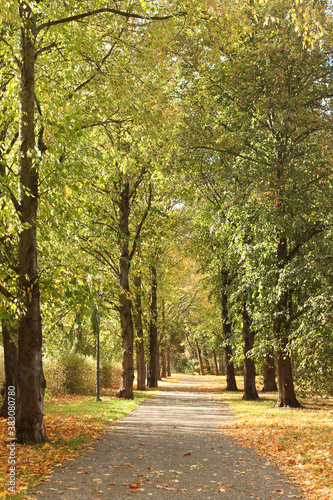 Path in the park during autumn. Turku, Finland.