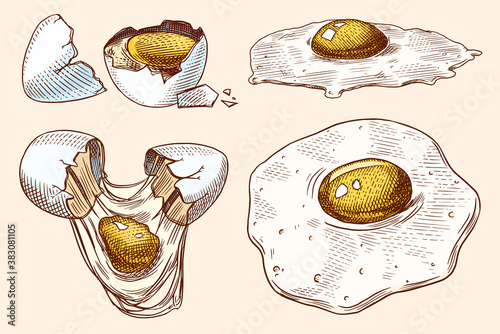 Eggs and and yolk, scrambled omelette, shell and farm product. Engraved hand drawn vintage sketch. Woodcut style. Vector illustration for menu or poster.