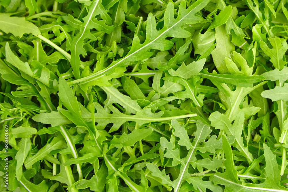 Fresh arugula leaves texture background top view