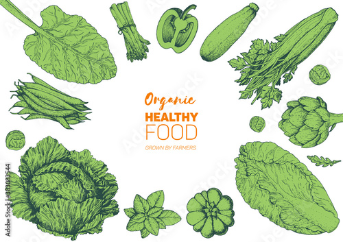Vegetables top view frame. Farmers market menu design template. Organic vegetables food poster. Vintage hand drawn sketch vector illustration. Green plants.