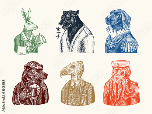 Grizzly Bear with a beer mug. Octopus sailor and Hare or Rabbit waiter. Dog officer and bird. Black panther and Japanese text means: karate. Fashion animal character. Hand drawn sketch.